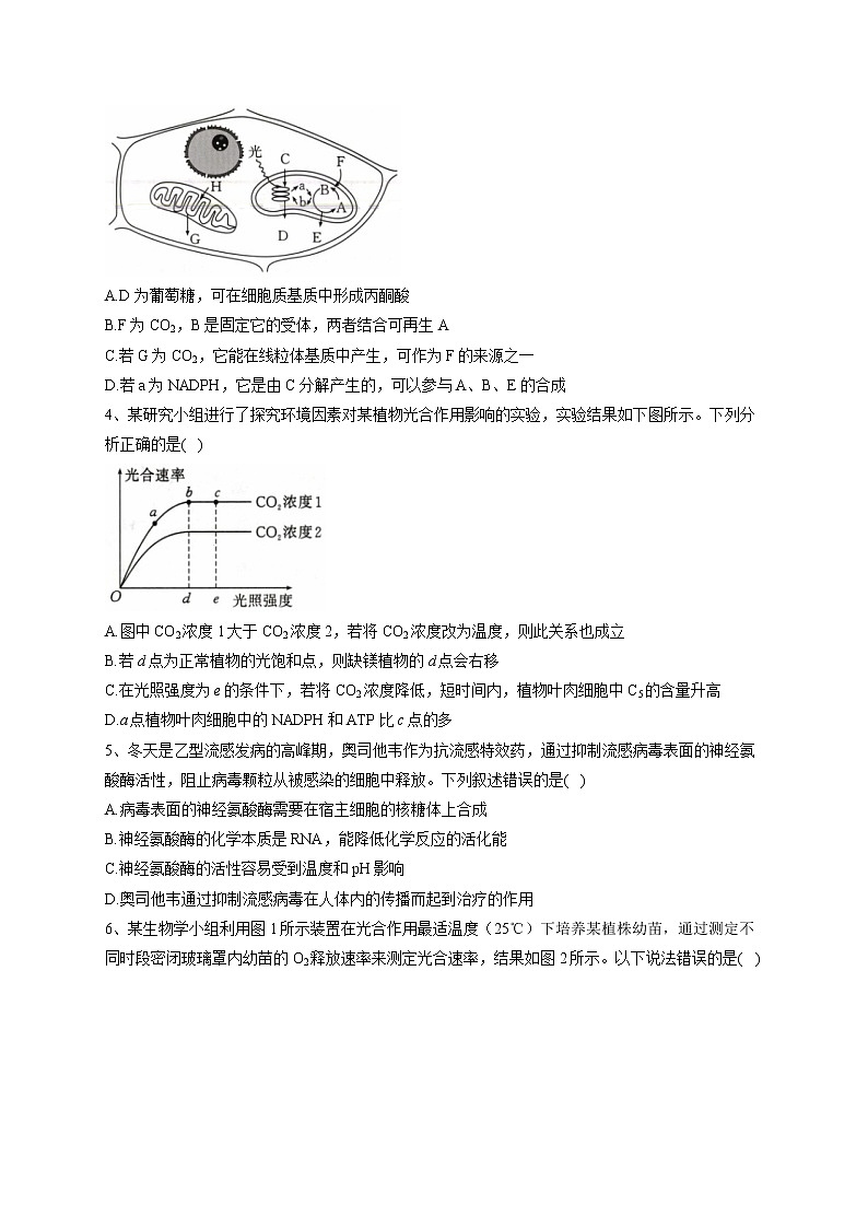 2022-2023学年人教版（2019）必修一第5章 细胞的能量供应和利用   单元测试卷(word版含答案)第2页