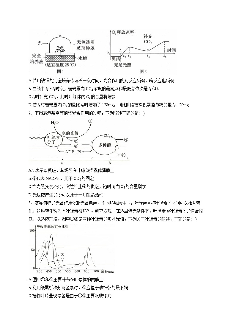 2022-2023学年人教版（2019）必修一第5章 细胞的能量供应和利用   单元测试卷(word版含答案)第3页
