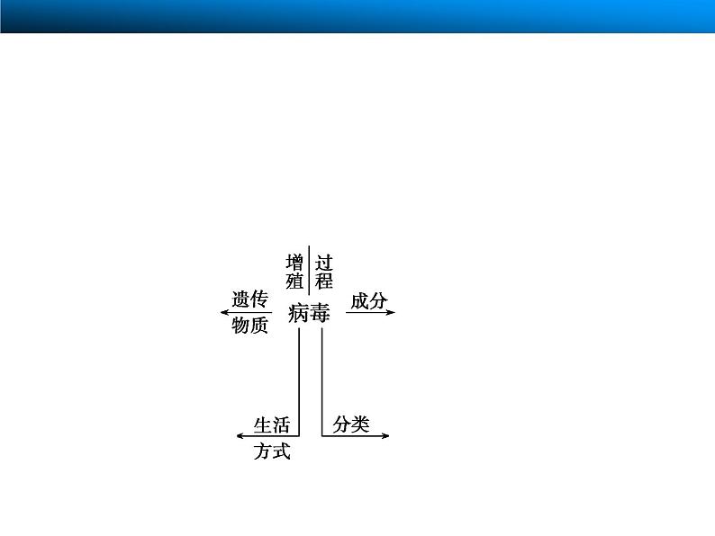 2023届高三生物一轮复习课件：走近细胞06