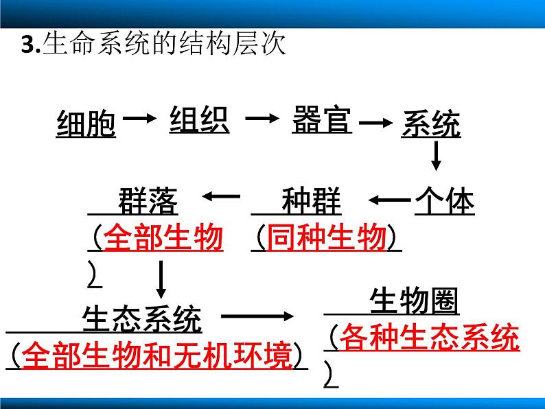 2023届高三生物一轮复习课件：走近细胞08