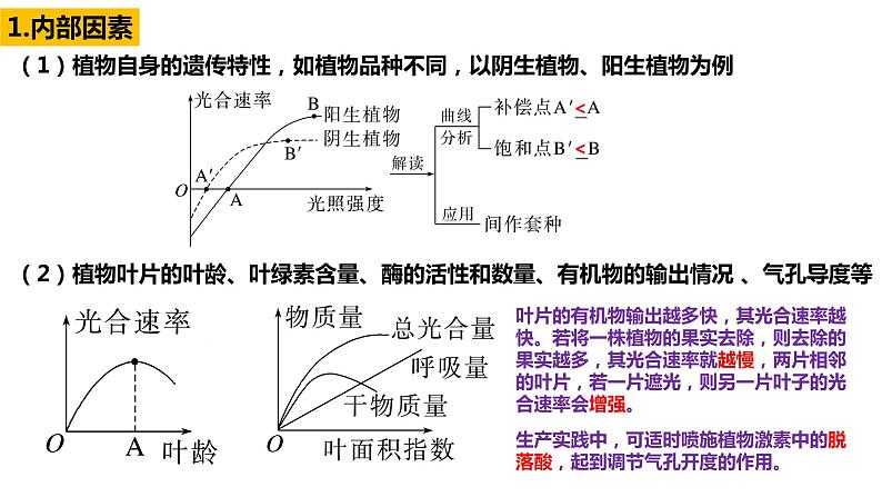 2023届高三一轮复习生物：第10讲　影响光合作用的环境因素及其应用课件04