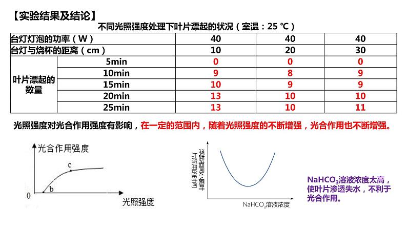 2023届高三一轮复习生物：第10讲　影响光合作用的环境因素及其应用课件07