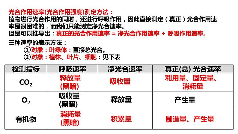 2023届高三一轮复习生物：第10讲　影响光合作用的环境因素及其应用课件08