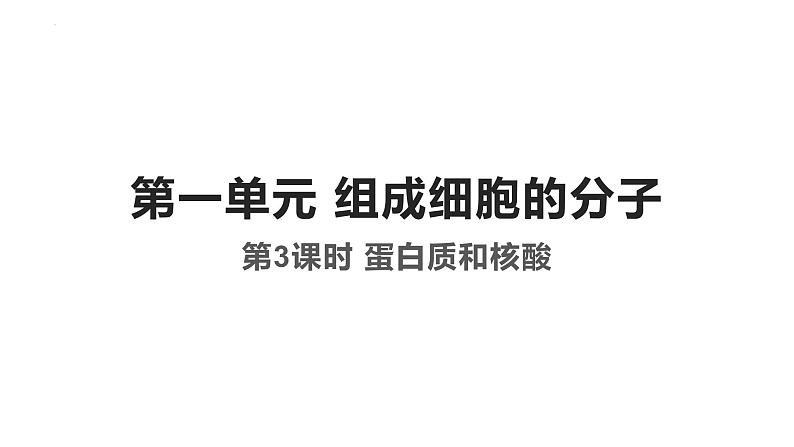 2023届高三一轮复习生物：第3课时 蛋白质和核酸课件第1页