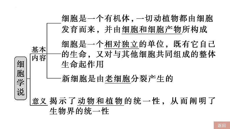 2023届高三一轮复习生物：第1课时 走近细胞课件第4页