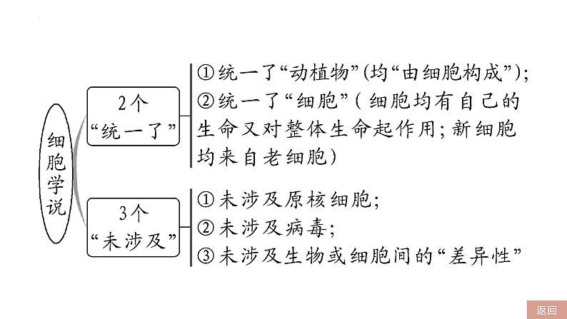 2023届高三一轮复习生物：第1课时 走近细胞课件第5页