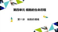 2023届高三一轮复习生物：细胞的增殖课件