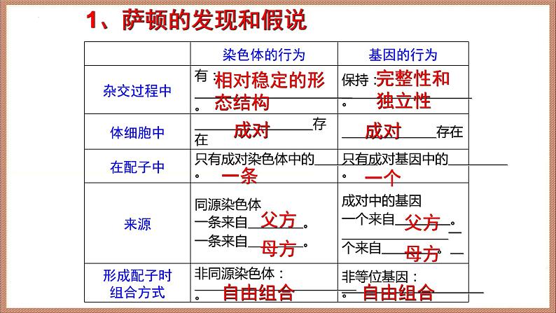 2022届高三生物一轮复习课件：基因在染色体上和伴性遗传第4页