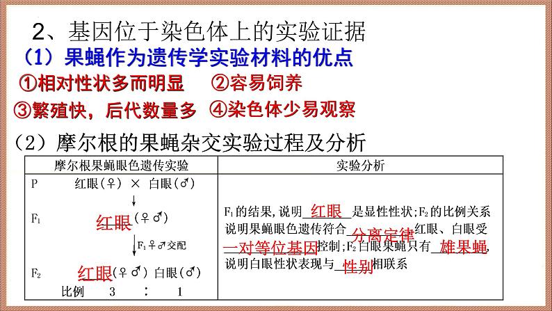 2022届高三生物一轮复习课件：基因在染色体上和伴性遗传第6页