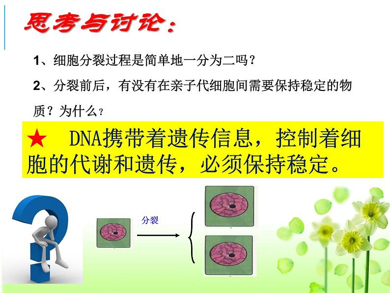 2022届高三生物一轮复习课件：细胞增殖第7页