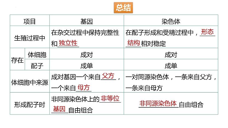 2022届高三生物一轮复习课件：基因在染色体上、伴性遗传和人类遗传病第3页