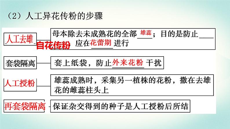 2022届高三生物一轮复习课件：分离定律第6页