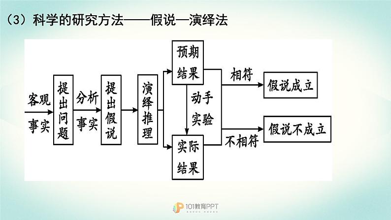 2022届高三生物一轮复习课件：分离定律第7页