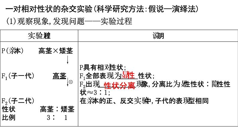 2022届高三生物一轮复习课件：分离定律第8页