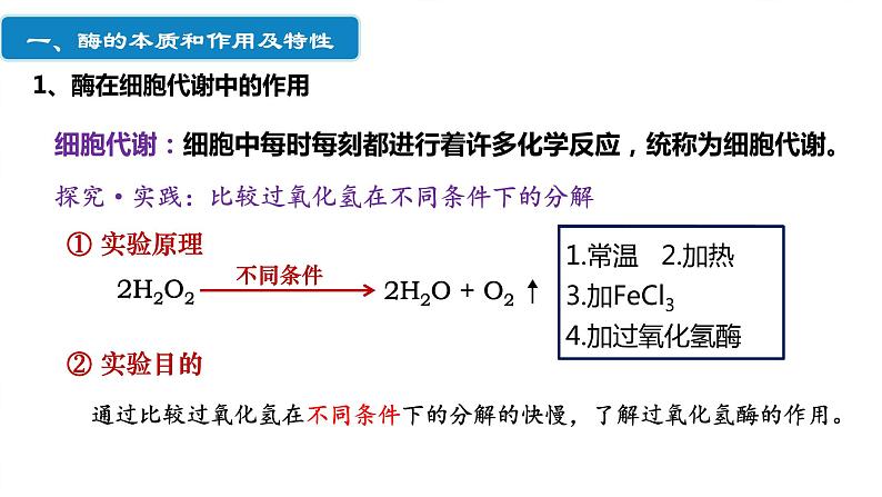 203届高三一轮复习生物：降低化学反应活化能的酶课件03