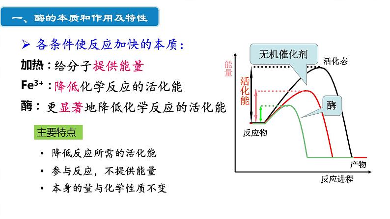 203届高三一轮复习生物：降低化学反应活化能的酶课件08