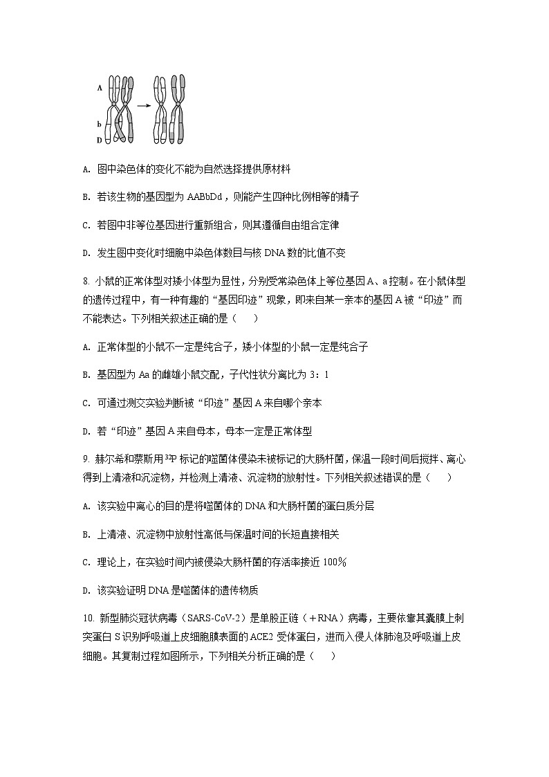2023届湖北省襄阳四中等高中名校联盟高三第一次联合测评生物试题含答案第3页