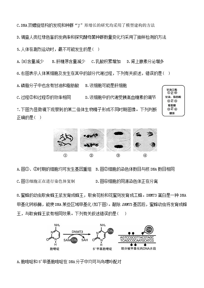 2022届辽宁省大连市高三下学期5月最后一考生物学试题含答案第2页