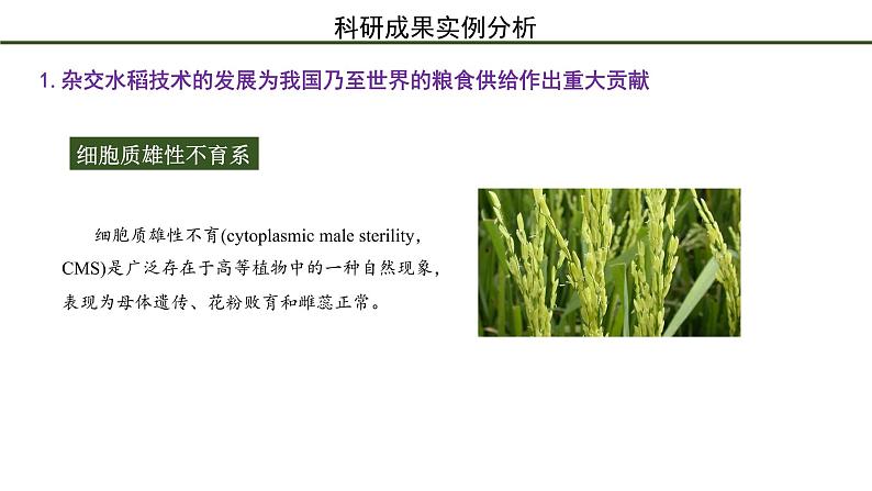 第1节  生物学是与人类生活密切相关的科学 课件07