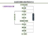 第2节  实验探究是学习生物学的重要途径 课件