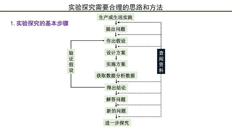 第2节  实验探究是学习生物学的重要途径 课件04