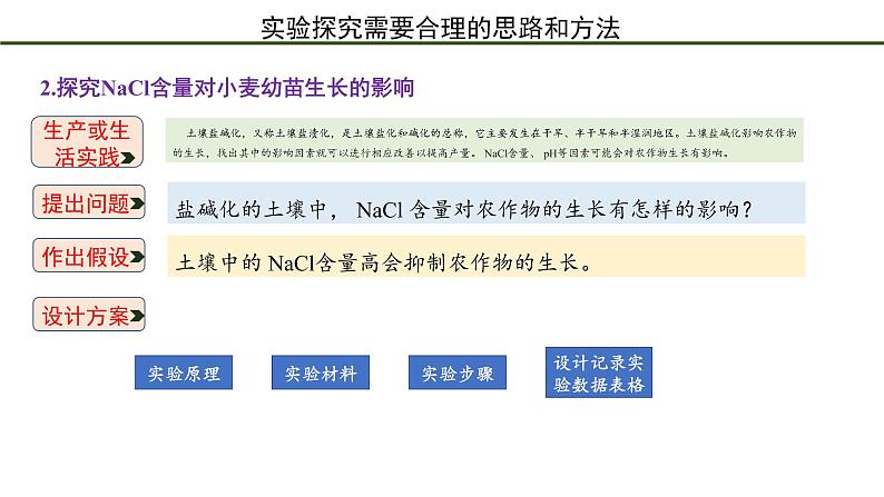 第2节  实验探究是学习生物学的重要途径 课件06