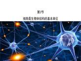 第3节   细胞是生物体结构的基本单位 课件