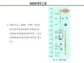 第3节   细胞是生物体结构的基本单位 课件