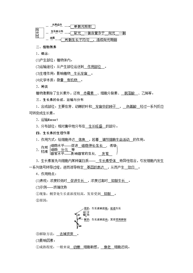 5.1植物生长素讲义人教版（2019）高中生物选择性必修一第3页