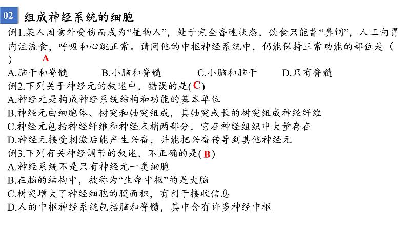 2023届高三生物一轮复习课件：神经调节的结构基础及基本方式第7页