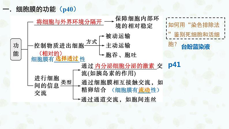 2022届高三生物一轮复习课件：细胞膜与细胞核05