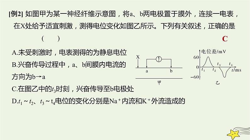人教版高中生物选择性必修一微专题一电流计指针偏转问题课件05
