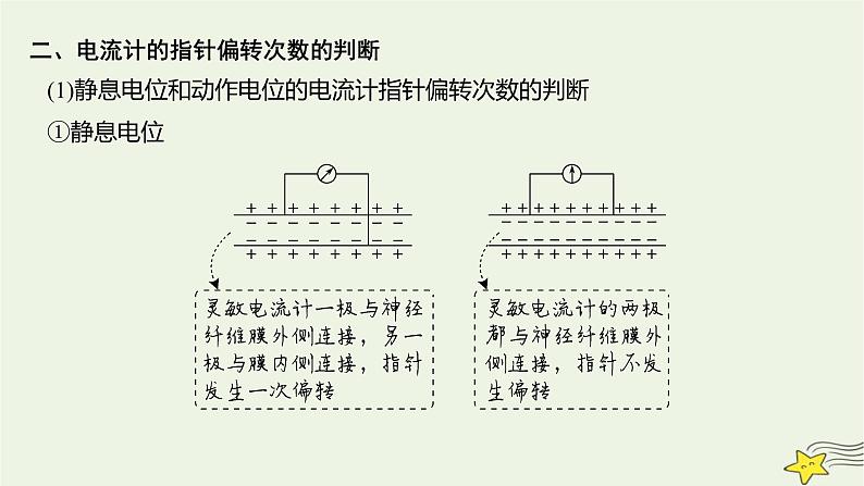 人教版高中生物选择性必修一微专题一电流计指针偏转问题课件07