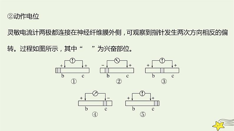 人教版高中生物选择性必修一微专题一电流计指针偏转问题课件08