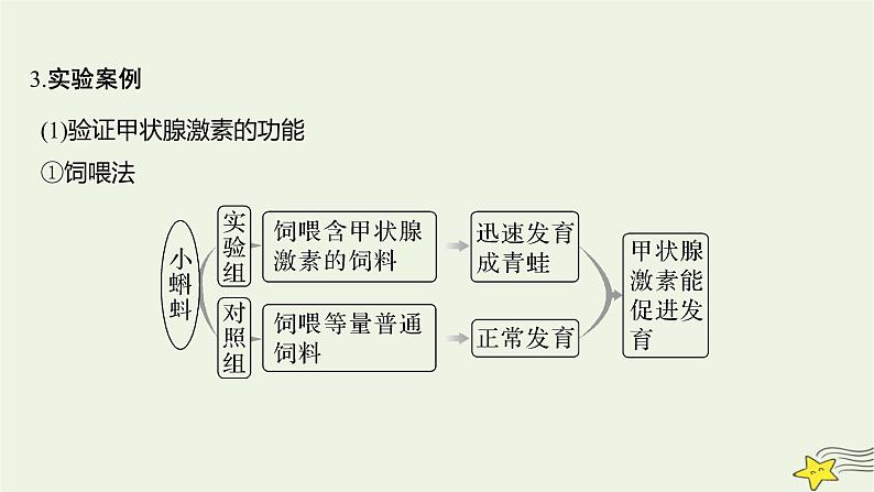 人教版高中生物选择性必修一微专题二有关动物激素的实验探究课件第4页