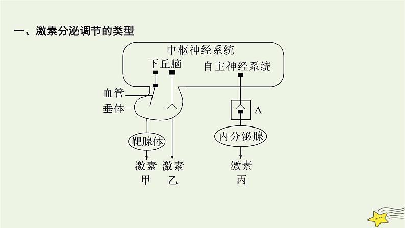 人教版高中生物选择性必修一微专题三激素分泌调节的类型及生命活动的主要调节方式课件02