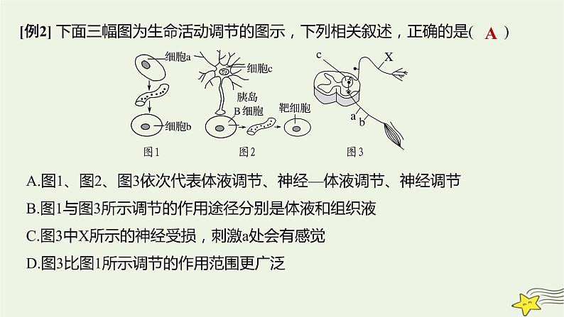 人教版高中生物选择性必修一微专题三激素分泌调节的类型及生命活动的主要调节方式课件07