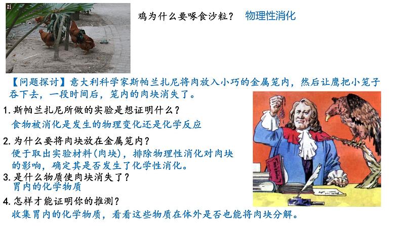 高中生物必修一 5.1降低化学反应活化能的酶 课件-2021-2022学年高一上学期02