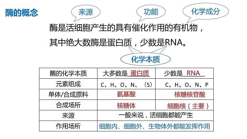 高中生物必修一 5.1降低化学反应活化能的酶 课件-2021-2022学年高一上学期05