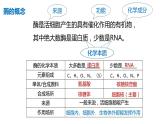 高中生物必修一 5.1降低化学反应活化能的酶 课件-2021-2022学年高一上学期