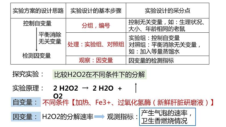 高中生物必修一 5.1降低化学反应活化能的酶 课件-2021-2022学年高一上学期08