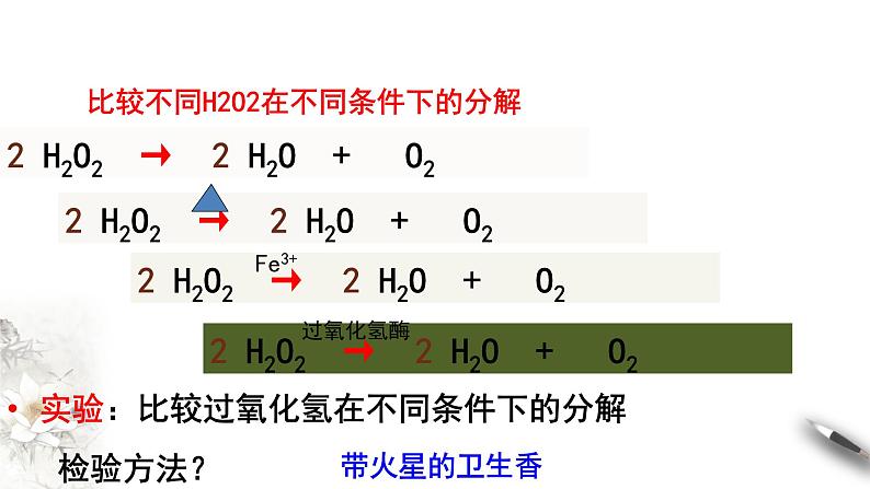 高中生物必修一 5.1.1 降低化学反应活化能的酶 课件(共23张)03