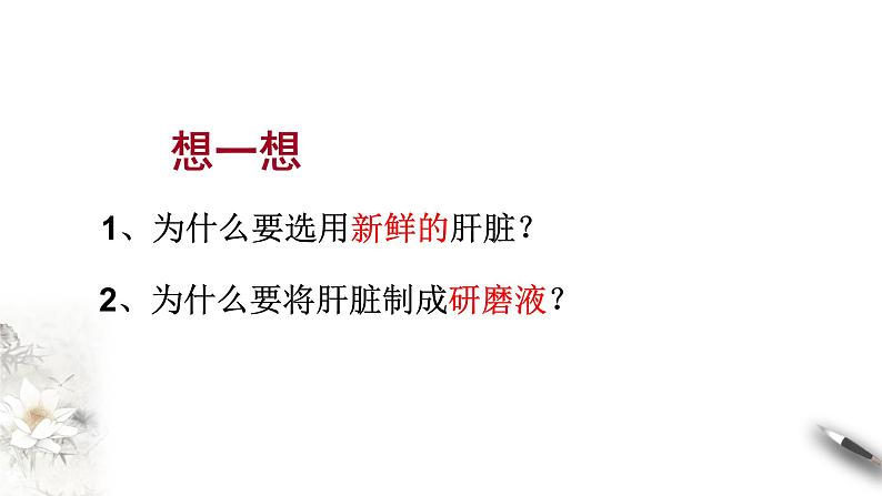 高中生物必修一 5.1.1 降低化学反应活化能的酶 课件(共23张)04