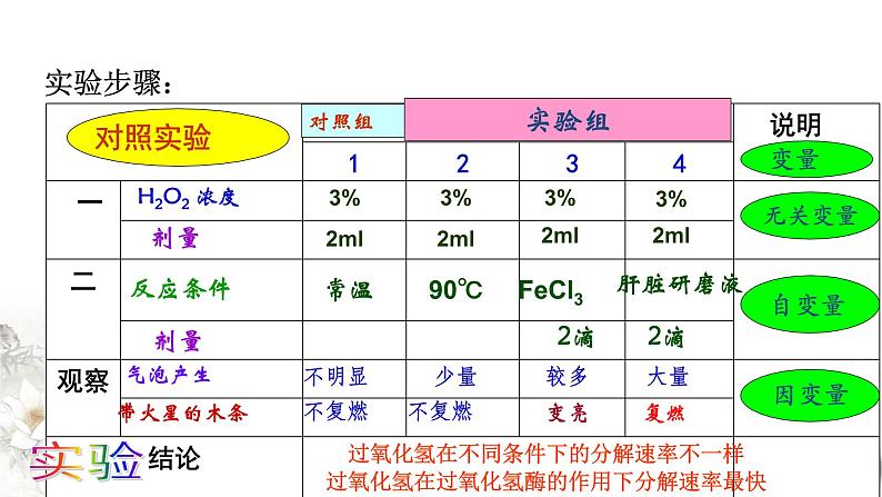 高中生物必修一 5.1.1 降低化学反应活化能的酶 课件(共23张)05