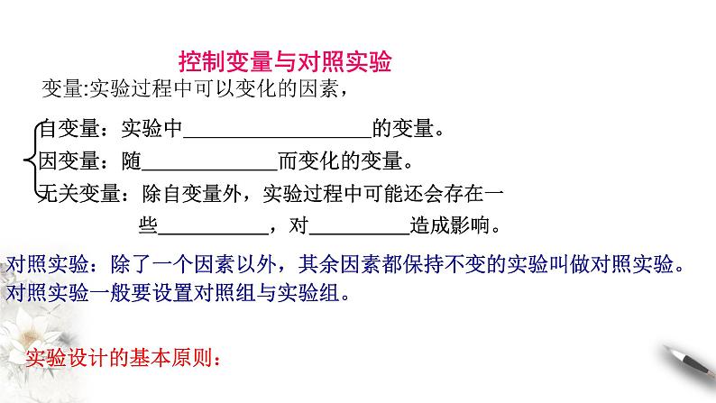 高中生物必修一 5.1.1 降低化学反应活化能的酶 课件(共23张)07