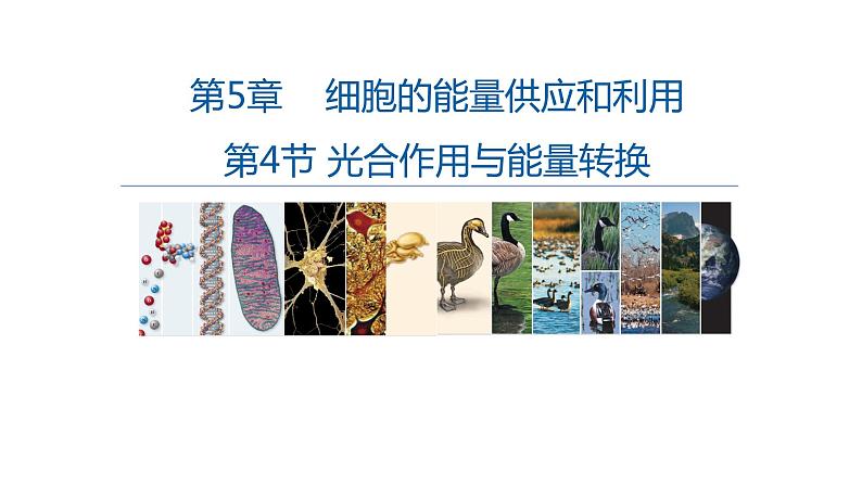 高中生物必修一 5.4光合作用与能量转化(2) 课件-2021-2022学年高一上学期第1页