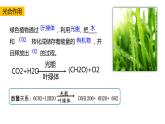 高中生物必修一 5.4光合作用与能量转化(2) 课件-2021-2022学年高一上学期