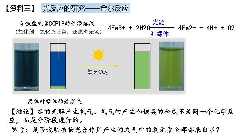 高中生物必修一 5.4光合作用与能量转化(2) 课件-2021-2022学年高一上学期第5页