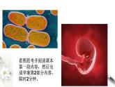 高中生物必修一 6.1.1 细胞增殖 课件(共25张)