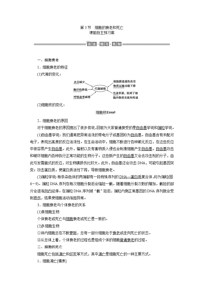 高中生物必修一 《第3节 细胞的衰老和死亡》集体备课教学案教学设计01